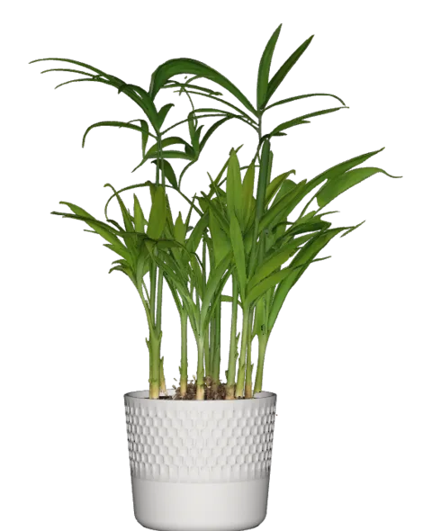 A houseplant in a patterned white pot, generated by the asset pipeline and rendered from the file the app ships.